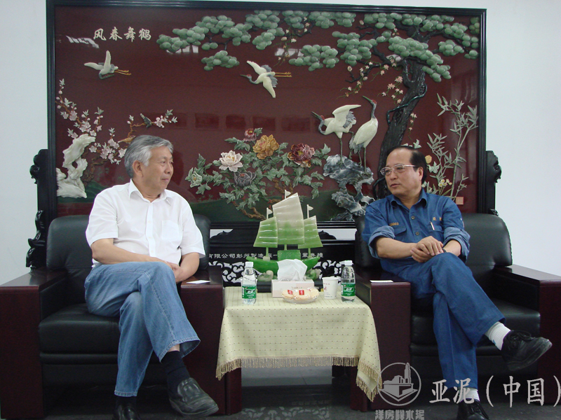 2008年6月21日，中國(guó)水泥協(xié)會(huì)會(huì)長(zhǎng)雷前治視察四川亞?wèn)|