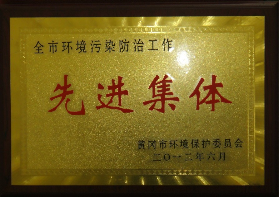 全市環(huán)境污染防治工作先進(jìn)集體(黃岡亞?wèn)|) 全市環(huán)境污染防治工作先進(jìn)集體(黃岡亞?wèn)|)