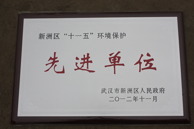 “十一五”環(huán)境保護(hù)先進(jìn)單位(湖北亞?wèn)|) “十一五”環(huán)境保護(hù)先進(jìn)單位(湖北亞?wèn)|)