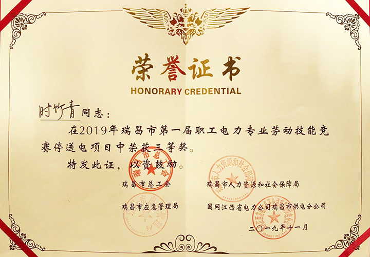 電力專(zhuān)業(yè)勞動(dòng)技能競(jìng)賽“個(gè)人三等獎(jiǎng)”（江西亞?wèn)|）