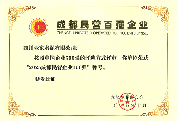 2025年10月28日，四川亞?wèn)|在成都市企業(yè)創(chuàng)新發(fā)展大會(huì)上，榮獲“2025成都民營(yíng)企業(yè)100強(qiáng)”稱(chēng)號(hào)，并獲頒獎(jiǎng)牌。