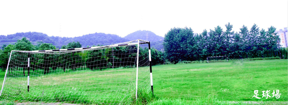 員工風(fēng)采 員工風(fēng)采