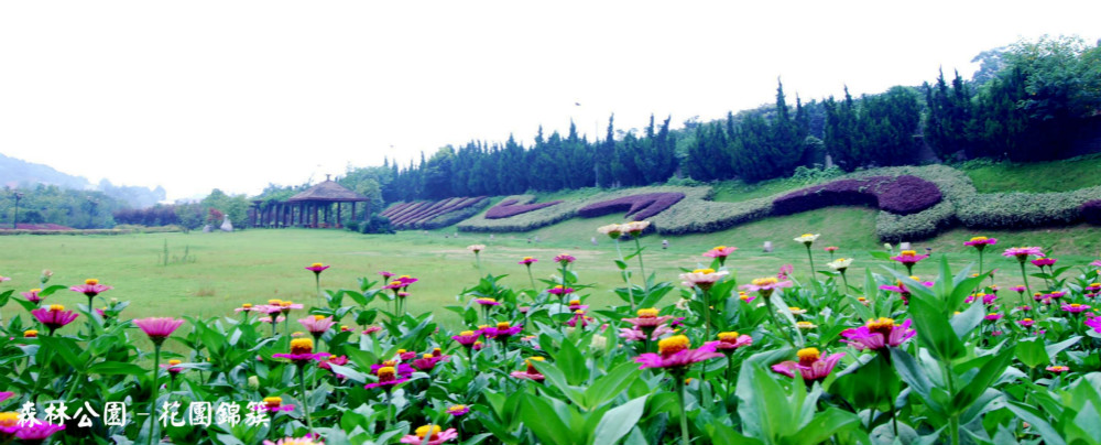 員工風(fēng)采 員工風(fēng)采