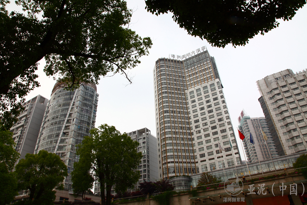 九江遠(yuǎn)洲國(guó)際大酒店 九江遠(yuǎn)洲國(guó)際大酒店